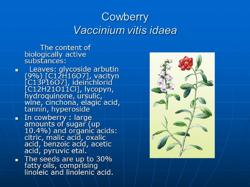 Cowberry Vaccinium vitis idaea   The content of biologically active substances:  